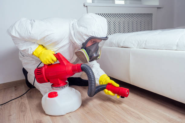 Emergency Pest Control in Lathrop, CA